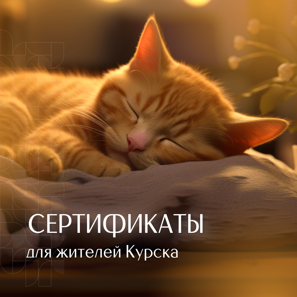Заголовок